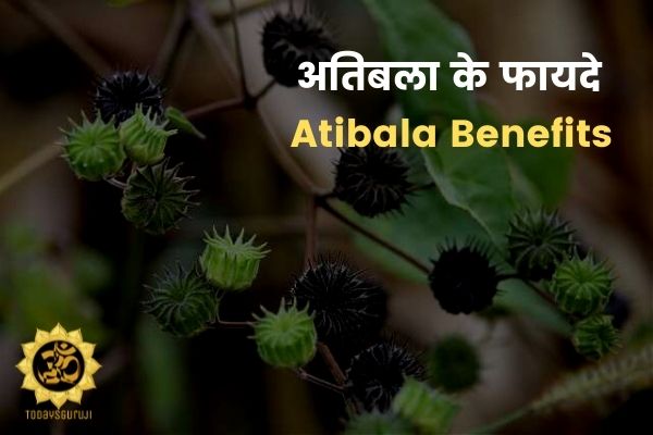 atibala benefits
