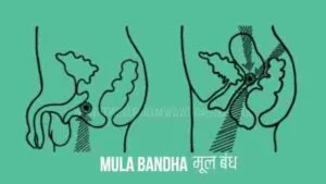 mula bandha
