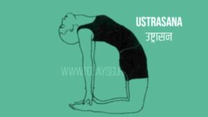 ustrasana