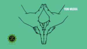 yoni mudra