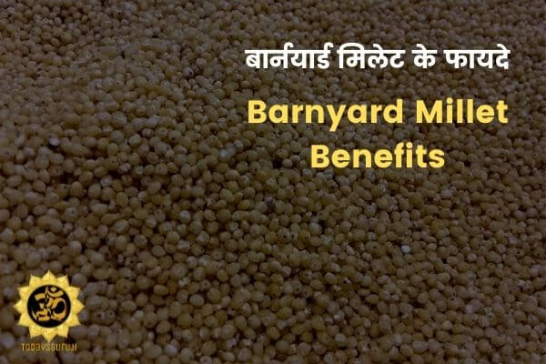 Barnyard Millet Benefits For Liver