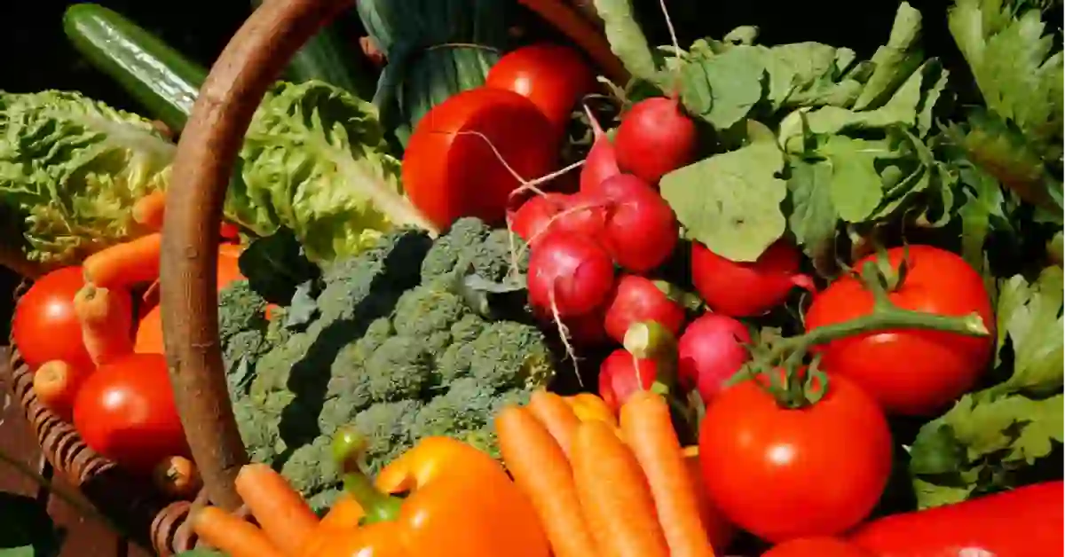 Rainbow Diet Meal Plan